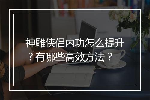 神雕侠侣内功怎么提升?有哪些高效方法?